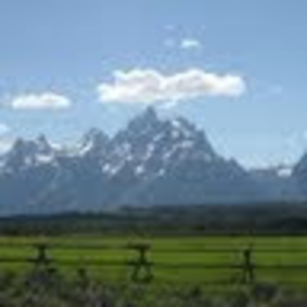 Meet your Posher, Suzanne